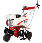 Garden France T70 c двигателем Honda GX 160